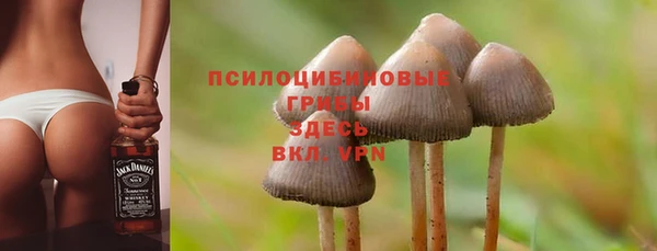 индика Иннополис